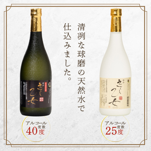 純米焼酎 えさし乙女 25度・40度セット 720ml×2本 江刺金札米100％使用[A0050]