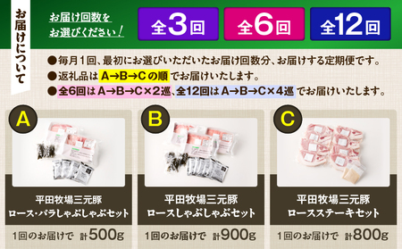 【 全3回 毎月 定期便 】 日本 の 米育ち 平田牧場 の 満足セット ！ T036-T05-01 肉 豚肉