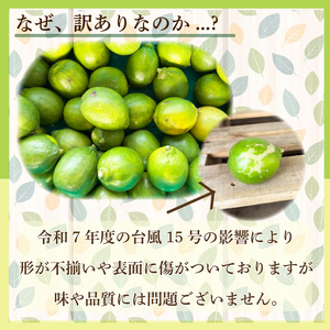 【先行予約 レモン】檸檬 訳あり レモン 3kg 国産 檸檬