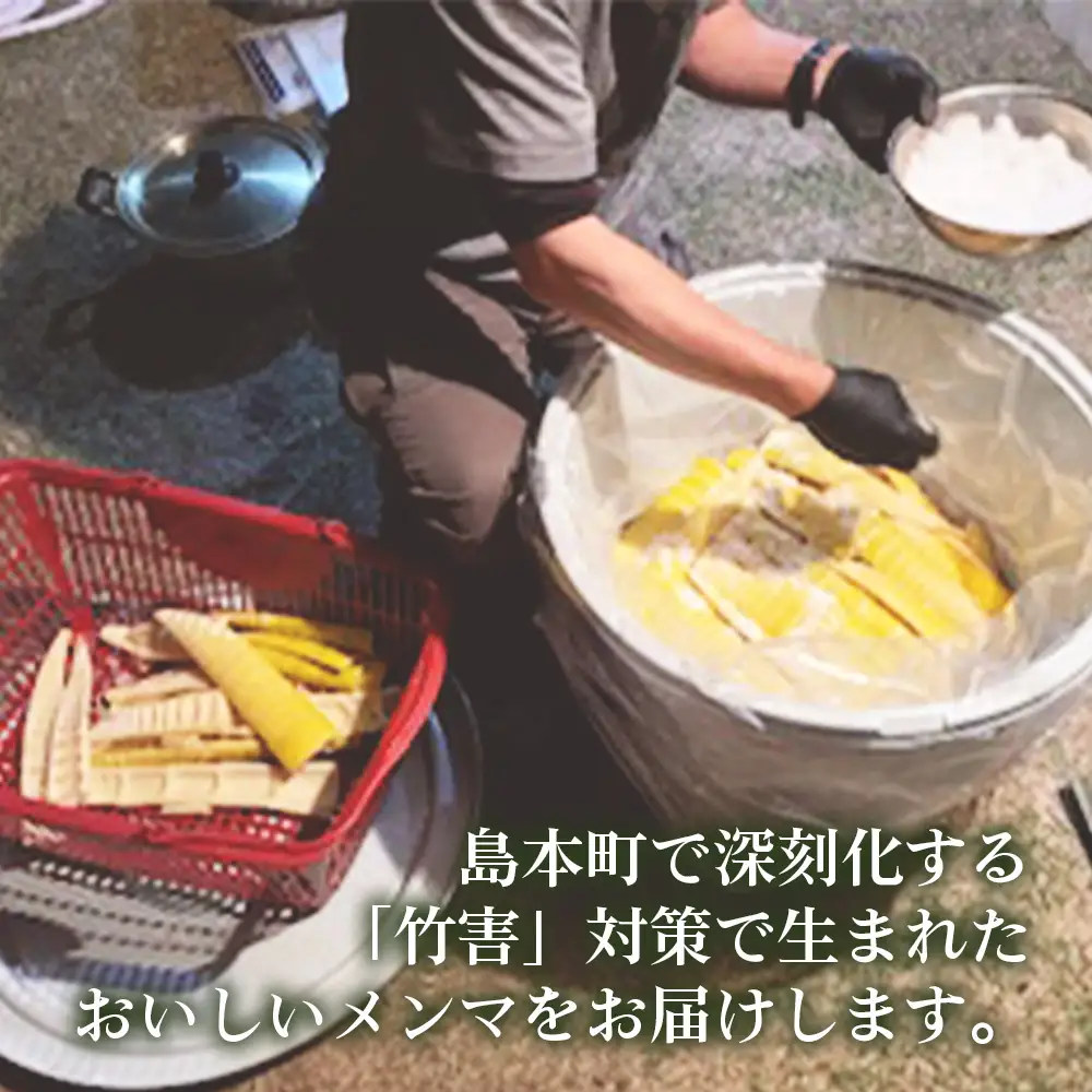 純国産島本メンマ（ごま油香るピリ辛中華味）500g ／ めんま たけのこ 筍 おつまみ 惣菜 国産 幼竹 ピリ辛 シャキシャキ ご飯のお供 お取り寄せ グルメ ご当地 名物 特産 大阪府 No.183