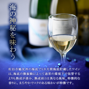海底貯蔵ワイン 白 MARIREINE エチェヴェリア グランレゼルバ シャルドネ2022 (750ml・1本) チリワイン ワイン 白ワイン 酒 パーティー マリレーヌ 海底酒 熟成 大分県 佐伯市【FP029】【フルタ酒店】