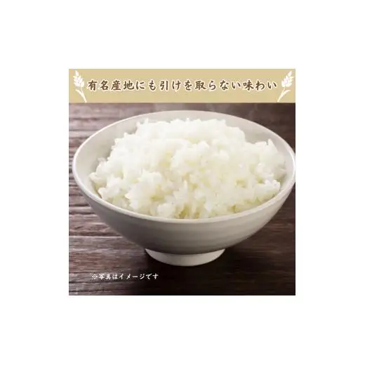 利根町産コシヒカリ　精米10kg ／ 米 こめ コメ お米 おこめ コシヒカリ こしひかり 令和7年産 白米 精米 ご飯 ごはん 10kg 送料無料