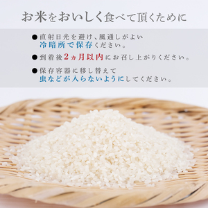 【新米】 令和8年産 先行予約 「コシヒカリ」 5kg ｜ 新米