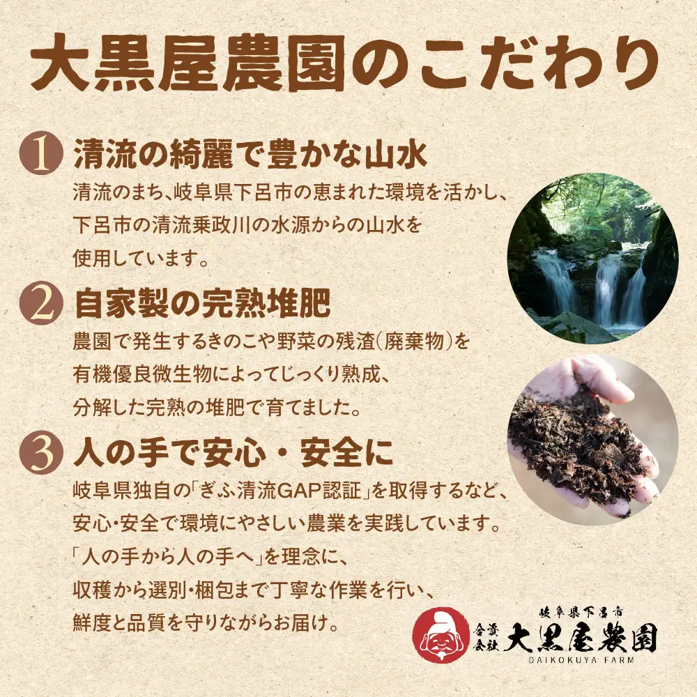  菌床生椎茸  詰め合せセット（4パック＋3袋）7品  計1.3kg 【119-1】