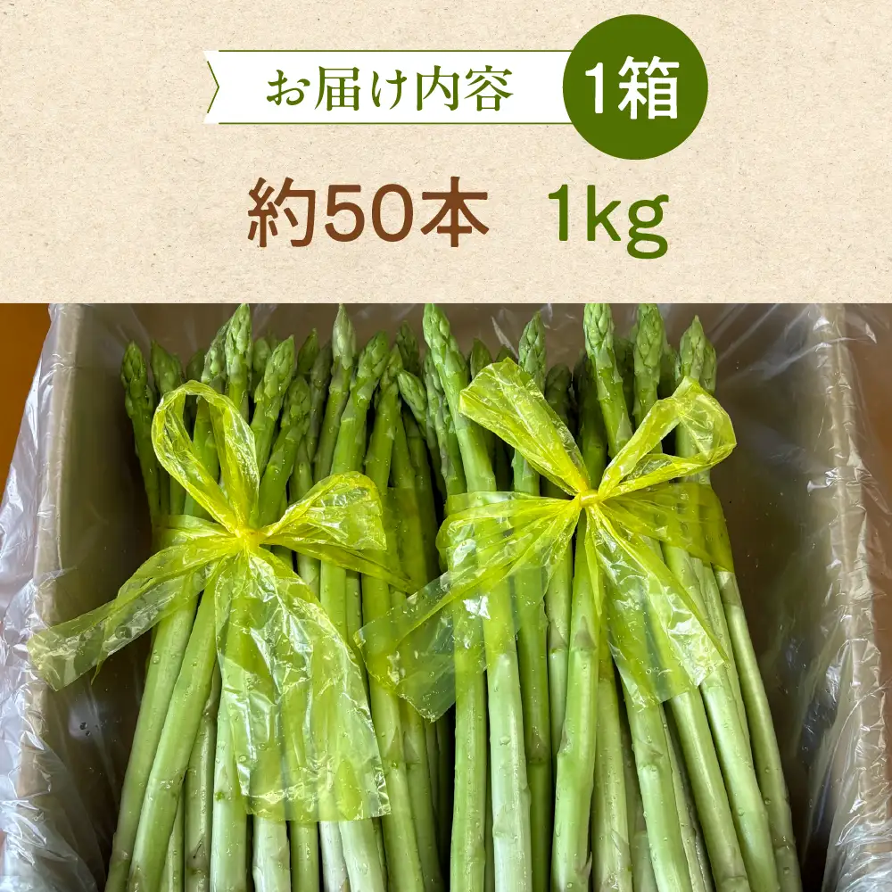 （2026年5月から順次発送）高級アスパラガス 隆至の龍 1kg（約50本入り）レギュラーサイズ【119-2】