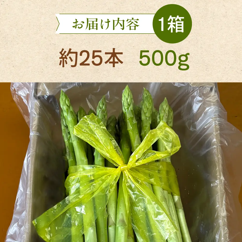 （2026年5月から順次発送）高級アスパラガス 隆至の龍 500g（約25本入り）レギュラーサイズ【119-3】