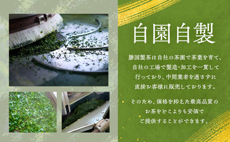 煎茶 鈴子 100g×２個セット お茶 贈答用 ギフト  お中元 お手玉