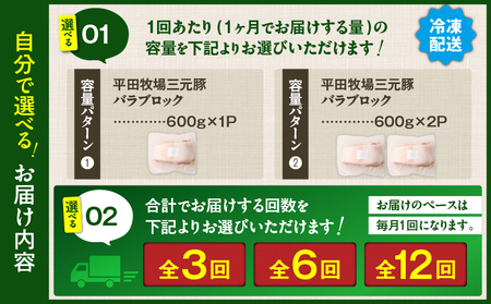 【 全12回 毎月 定期便 】 日本 の 米育ち 平田牧場 三元豚 バラ ブロック 600g T036-T08-03 肉 豚肉