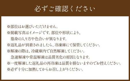 【3か月連続定期便】熊本県産 「阿蘇いろひつじ」 ジンギスカン 計500g （タレ漬け 300g ・ タレなし 200g） × 3回 （1500g） ／ 羊 羊肉 ひつじ ラム肉 ジンギスカン用 国産羊 国産 熊本県 冷凍