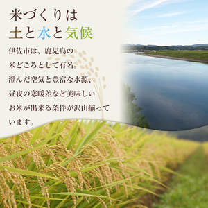 isa792 《数量限定・6回定期便》令和7年産 小北農場のお米 伊佐黄金米〈ヒノヒカリ〉(計60kg・5kg×2袋×6回) 鹿児島 伊佐 お米 60kg 定期便 6回 特別栽培米 伊佐米 白米 ヒノヒカリ ひのひかり おにぎり ごはん  【小北農場】