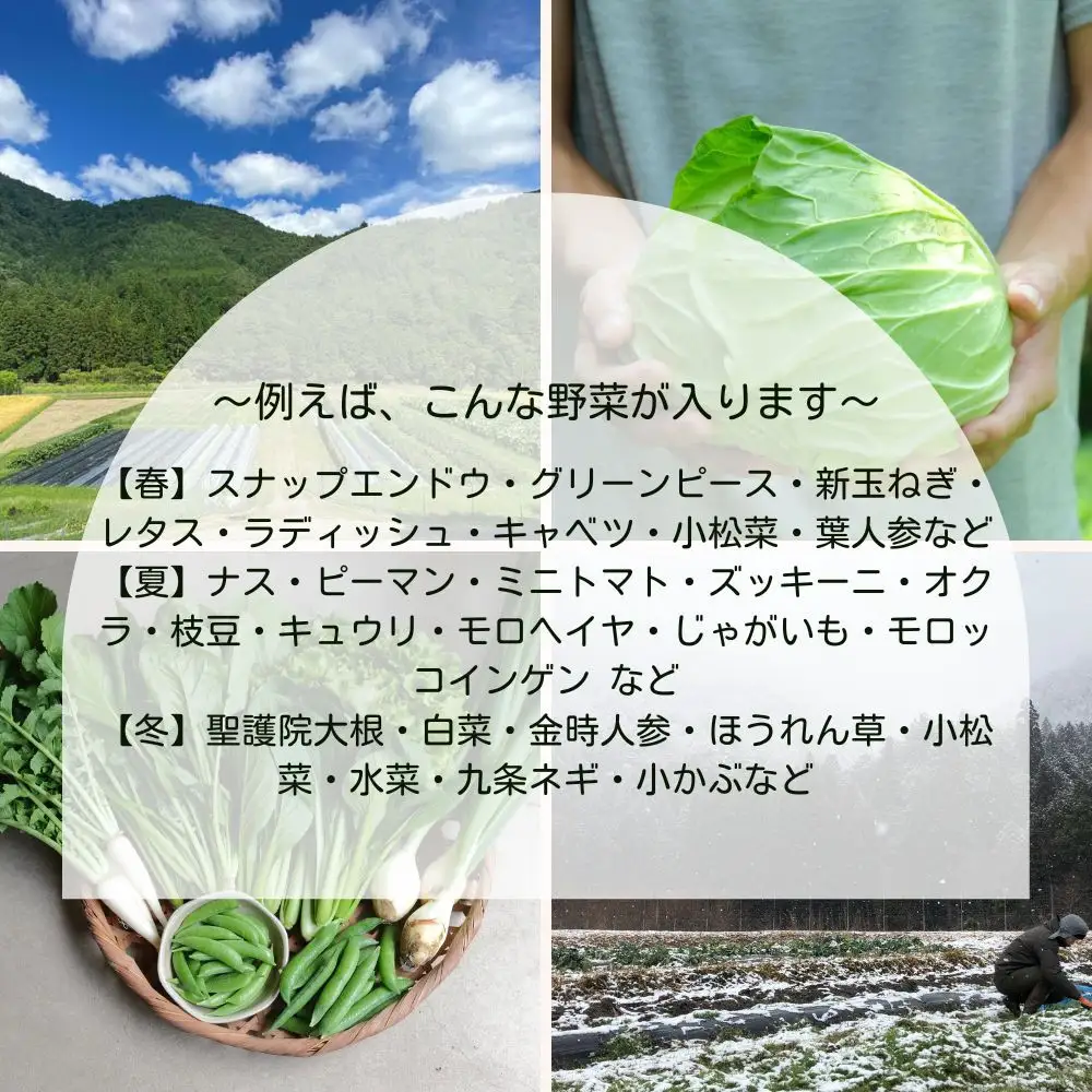 【よしだのはたけ】旬の野菜10品 やさいBOX｜京都 京北 農家直送 野菜 人気セット