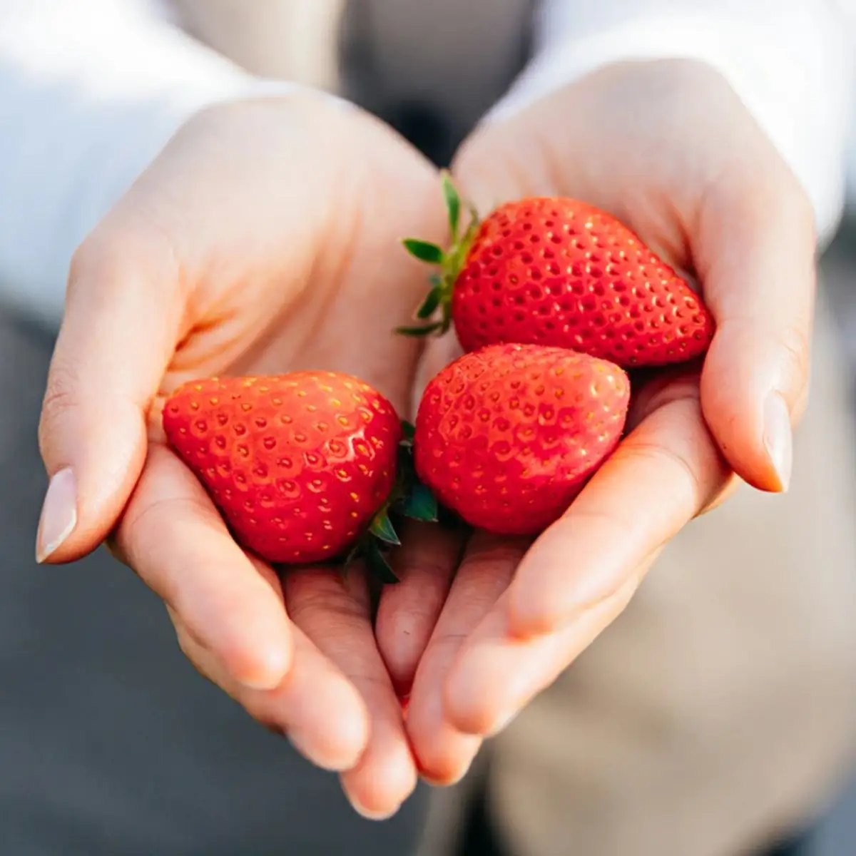 あまりん 冷凍いちご 2kg | あまりん