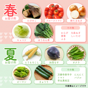 【6回定期便】 道の駅京丹波味夢の里 『旬のお野菜』 詰め合わせセット 野菜詰め合わせ 4~12種類