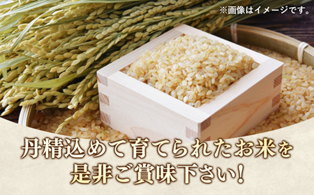 令和7年度米 埼玉県幸手産 ゆうだい21【玄米】10kg 家族みんなで大切に育てた自慢のお米 ゆうだい21【玄米】 - 米 甘み 弾力 粘り