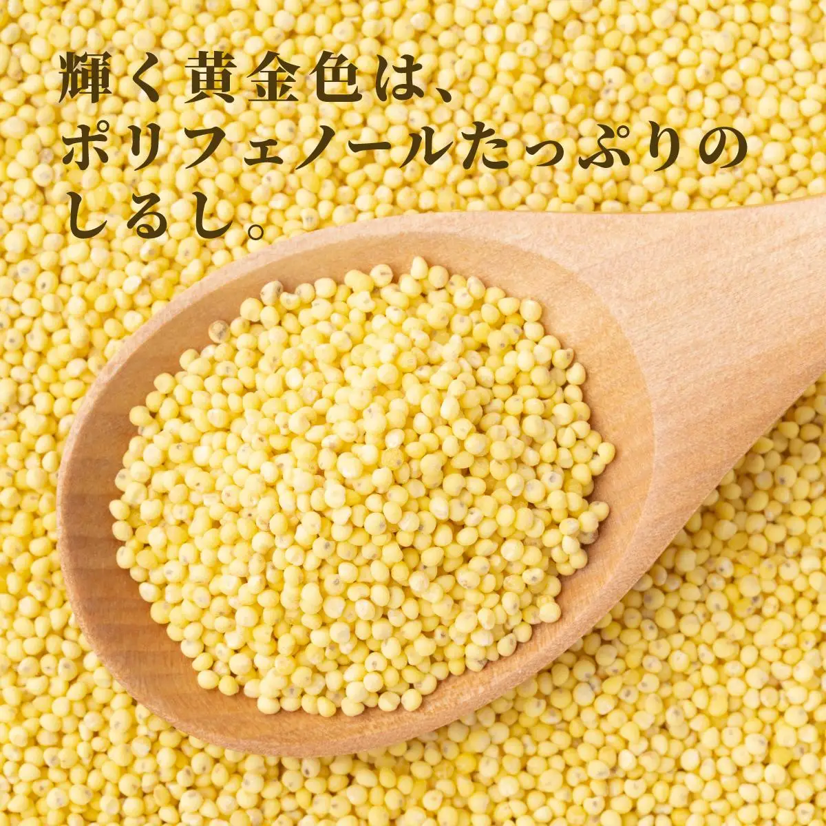 もちきび 400g×1袋