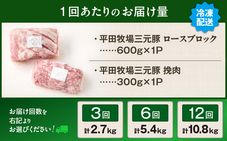【 全6回 毎月 定期便 】 日本 の 米育ち 平田牧場 三元豚ロース ブロック 600g ・ 三元豚挽肉 300g T036-T13-02 肉 豚肉