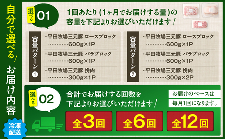 【 全3回 毎月 定期便 】 日本 の 米育ち 平田牧場 三元豚 バラブロック 600g ・ 豚ロースブロック 600g ・ 豚挽肉 600g T036-T15-01 肉 豚肉