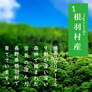 《予約品》令和8年6月～発送★とまとのクラフトビール「 ねばとエール (NEBATO ALE）」3本セット 発泡酒 クラフトビール トマト トマトのお酒 ビール 南信州 長野県 地域限定 完熟トマト 根羽村産 小林農園 天然水