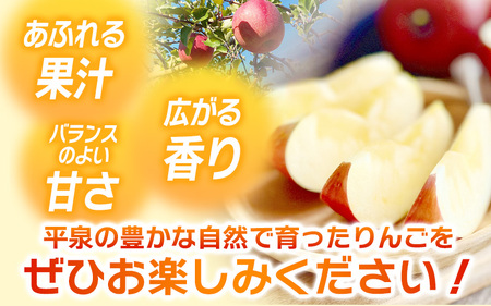 【10月下旬頃より順次発送】大文字りんご園 サン北斗 約5kg  大玉(10～12玉) 【dma002-big】