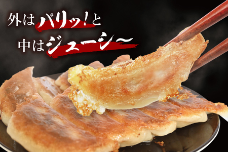 冷凍餃子 40個（20個×2袋） 美明豚 餃子 （茨城県共通返礼品・行方市産）_DS013