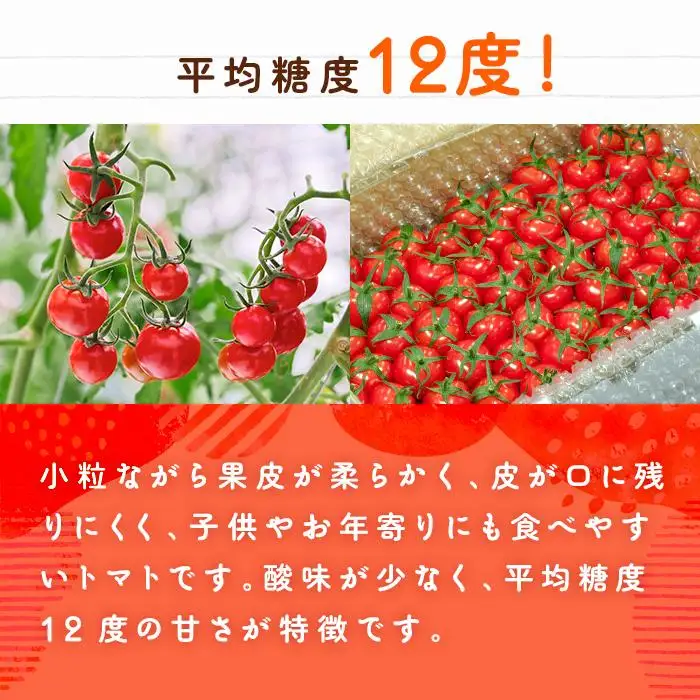 宮古島産 トマト 【プチぷよ】 約800g　糖度平均12度（PN02）