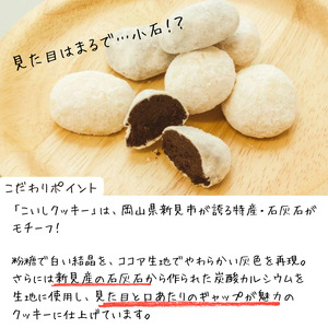 焼き菓子 Sekkai こいしクッキー 10袋（プレーン・ココア各5袋）