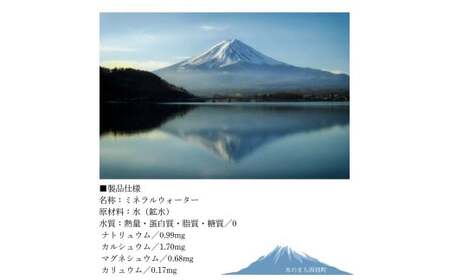 弱アルカリ水 富士山麓の溶岩水500ml 48本入 (24本入2箱)／ミネラルウォーター お水 軟水 飲料 飲料水 ペットボトル 生活必需品 消耗品 備蓄 防災 災害対策 人気 まろやか おいしい 送料無料 山梨県 西桂町【n0548-48_web_A】