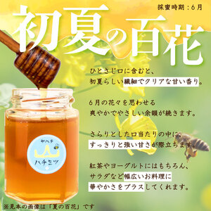 はちみつ 国産 600g 瓶 初夏の百花 セイヨウミツバチ 百花 蜂蜜 ハニー 純粋はちみつ 防災グッズ 保存 備蓄 防災食 非常食 保存食 弥八養蜂 新潟県 新発田市 yahachi002