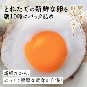 [定期便／6ヶ月×月2回 (全12回)] さかもとのたまご 20個 (18個＋割れ保証2個) 合計240個 [0807]