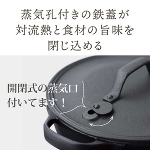 南部鉄器 40年のロングセラー洋風煮込み鍋 【OIGEN 作】 IH調理器 伝統