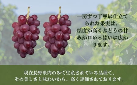 【2026年先行予約】クイーンルージュ® 900g以上（2房）｜ぶどう ぶどう