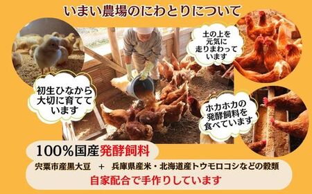 BQ5　いまい農場の 平飼い 有精卵　40個 【 赤玉 たまご タマゴ 玉子 平飼い 国産 こだわり 受賞 兵庫県 宍粟市 しそうし】
