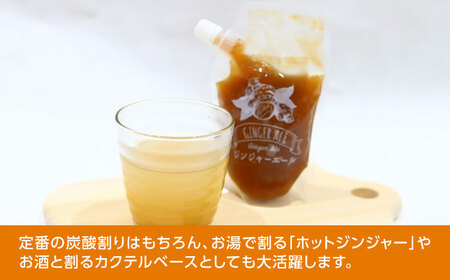 クラフトジンジャエールの素 約200ｇ×3パック / ジンジャーエール 素 シロップ ジンジャーシロップ 炭酸 炭酸割り ソーダ お湯割り ホットジンジャー アレンジ【Japan Ginger 株式会社】[ATFD005]