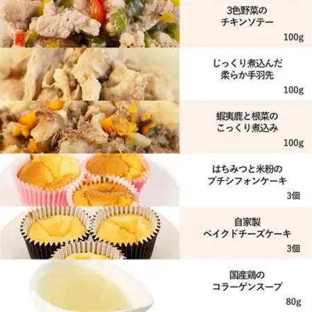 【プレミアム・ドッグミールセットB】犬用ごはん 無添加 手作り Idea dog chef【配送不可地域：離島】【1660610】