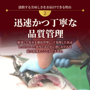 【冷蔵】延岡産活〆鮮魚職人技の脱血鮮魚真鯛１尾分（内臓エラ取り）【最短10日後以降発送可】真鯛 魚介 チルド冷蔵 旬 国産 宮崎県延岡市 送料無料 請関水産 N019-YA758