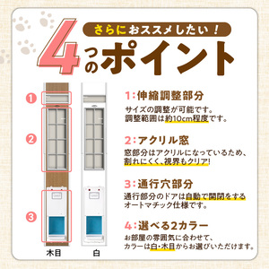 オートマッチックフリードア　OT-1900 _ オートマチック フリードア 普通サイズ 猫用 白 木目 工事不要 パネル一体型 ペットドア 賃貸可 サッシ 引き戸レール 取付 簡単 自動開錠 自動開閉 マグネットキー 高さ調整 受注生産 日本製 国産 ペット用品 お取り寄せ 福岡県 久留米市 送料無料  〔Qx102-02〕