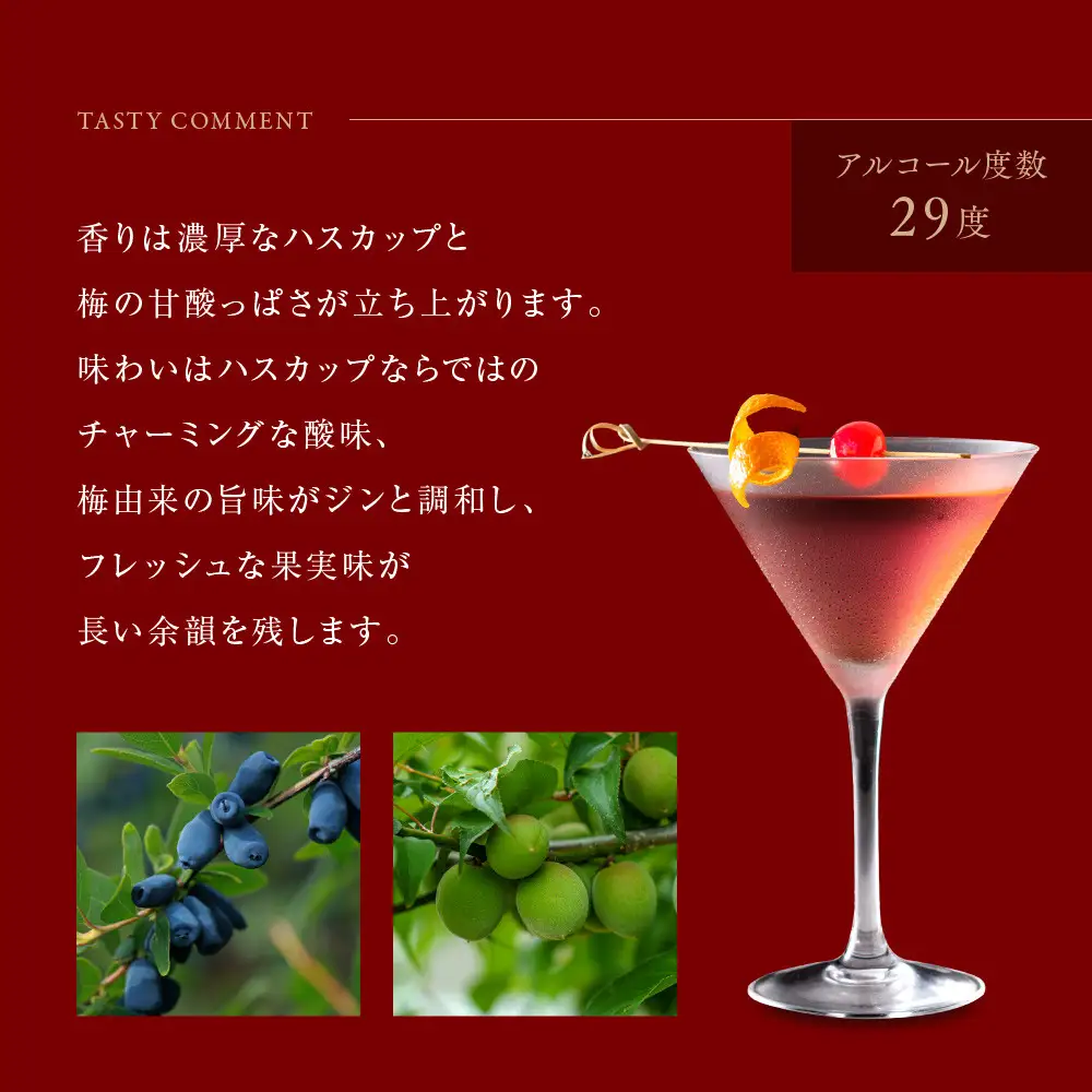 【京都蒸溜所】季の梅 京都プラムアンドベリーリキュール 700ml×6本 |プレミアム クラフトジン スピリッツ 人気セット