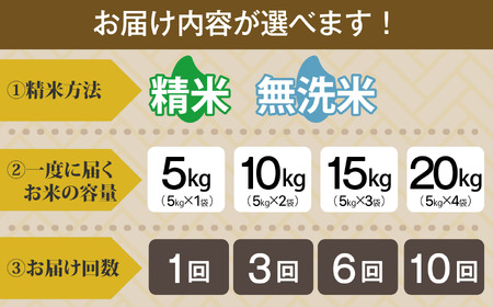  米 精米 令和7年産 コシヒカリ 5kg お米マイスター 福島県産 田村市