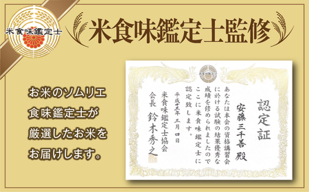 米 精米 令和7年産 コシヒカリ 20kg お米マイスター 福島県産 田村市
