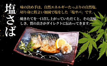 塩さば 合計10切入 約950g 吉雪｜新潟 さば