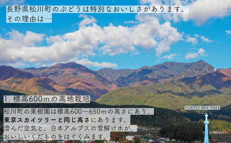 TK22 冷凍カット市田柿 Mサイズ 約400g（約200g×2） // 長野県 南信州 干し柿 高級ドライフルーツ 高糖度 冷凍フルーツ