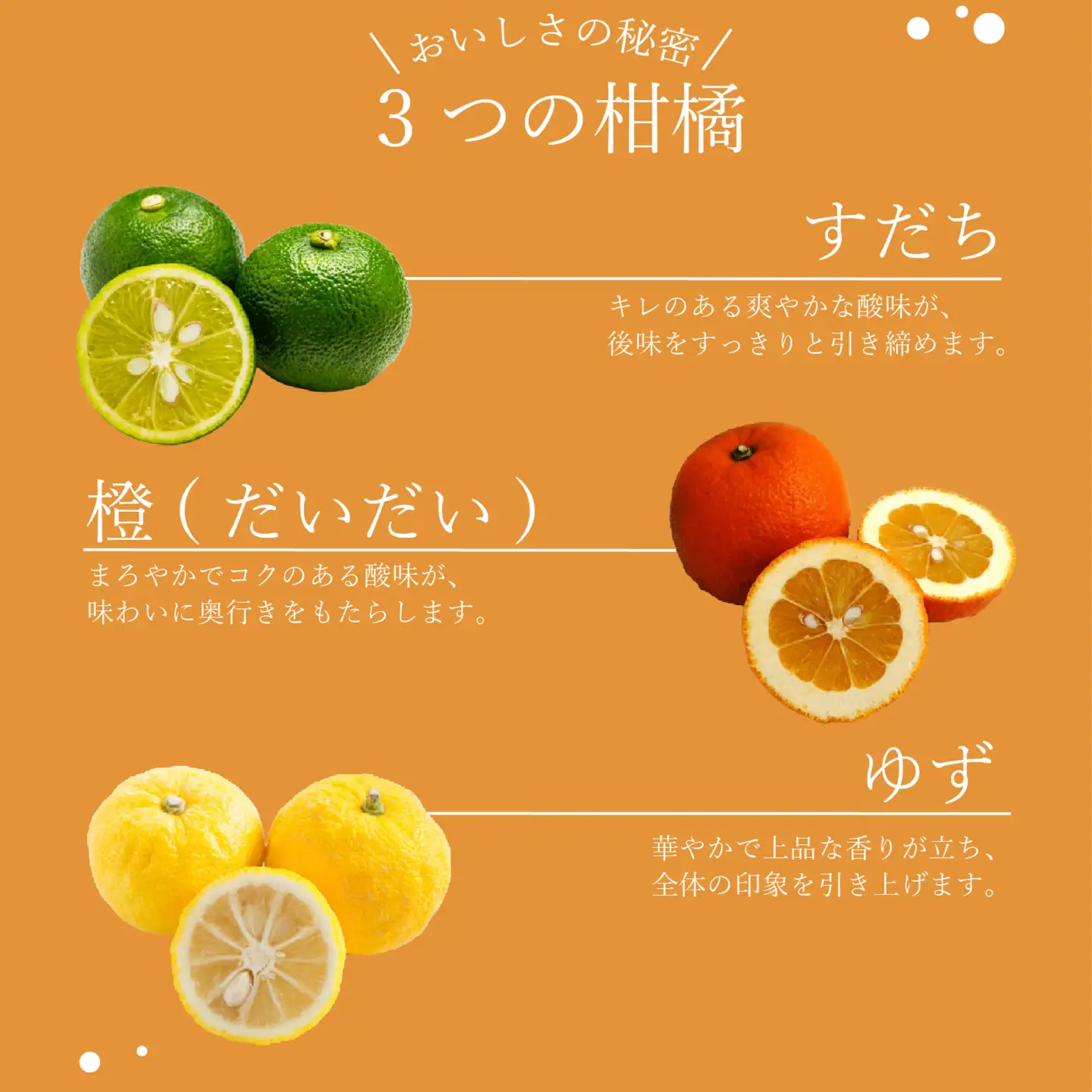 【創業90年】味付け ポン酢 720ml 1本 ポン酢