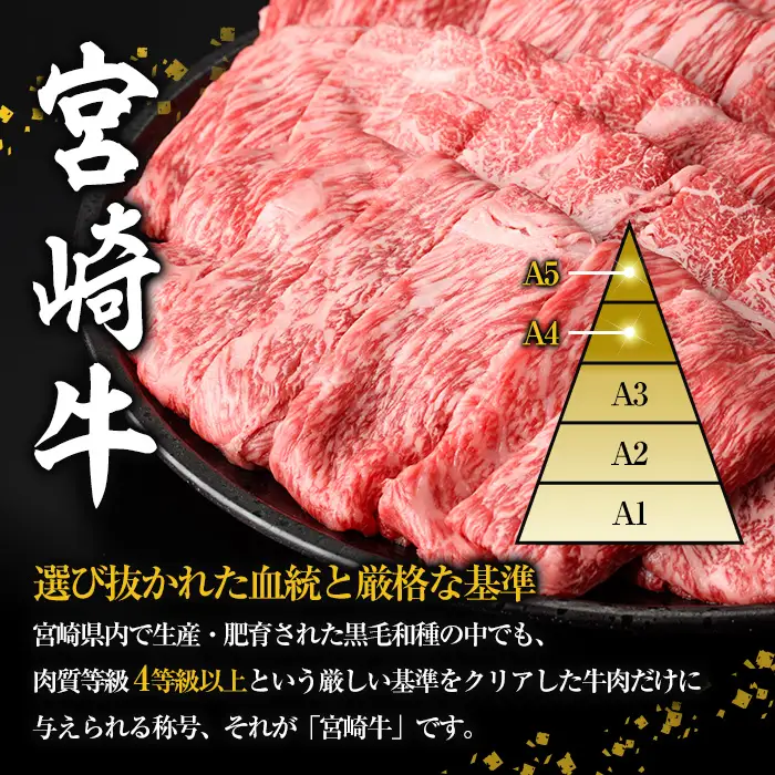 【定期便・全3回(連続)】宮崎牛 お楽しみ 定期便 (全3回) すき焼き お肉 牛肉 黒毛和牛 宮崎牛 ブランド和牛 冷凍 国産 肩 ウデ モモ 赤身 スライス 宮崎県産 しゃぶしゃぶ 【YA019】【YAMATO株式会社】