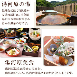 湯河原温泉ふるさと納税「宿泊ギフト券」 60,000円分 | 湯河原町 贅沢 リフレッシュ 旅行 神奈川 自然