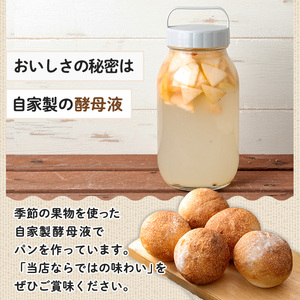 ≪数量限定≫自家製酵母パンセット(10～12個) パン ぱん 酵母パン 朝食パン 菓子パン 総菜パン ベーカリー ブレッド 冷凍パン 冷凍 種類 ランダム おまかせ 詰合わせ 詰め合わせ アソート セット 厳選 小麦 手作り 朝食 おやつ 贈答 ギフト 【bellpan】as49-001