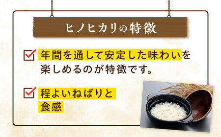 糸島産 ヒノヒカリ 10kg 糸島市 / 平山農園 米 白米 米 白米 ご飯 お米 10kg[AXN006]