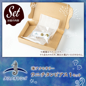 海アクセサリー ウニチタンピアス (1セット) アクセサリー ピアス チタンピアス ハンドメイド 手作り 耳飾り ギフト プレゼント 贈り物 雲丹 うに ウニ殻 1点もの オリジナル 数量限定 【タツノオトシゴ】as50-002