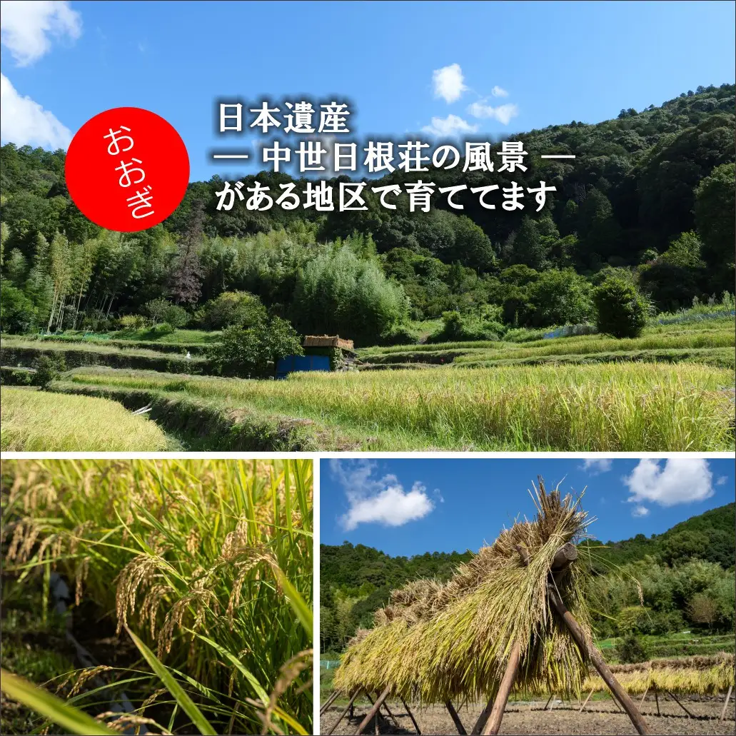 日本遺産の棚田景観で育てた大木米（白米）2kg