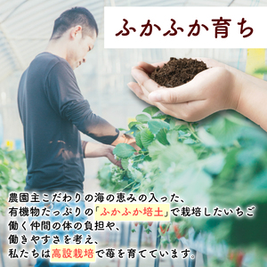 【ドライフルーツ】フリーズ ドライ いちご 1袋 ドライイチゴ