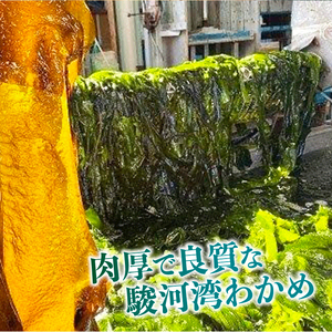 つくだ煮 わかめの佃煮 わかめ 佃煮 5個セット 【 つくだ煮 】